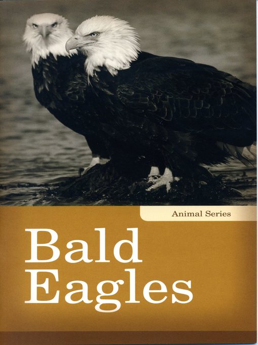 Linda Kita-Bradley 的 Bald Eagles 內容詳情 - 可供借閱